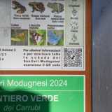 Noi seguiamo il �Sentiero verde dei carrubi�...

